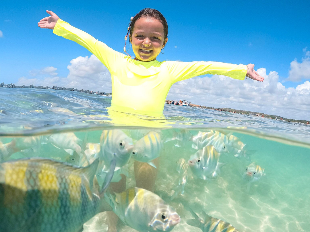 Porto do Sol Maragogi-Maragogi必去景点