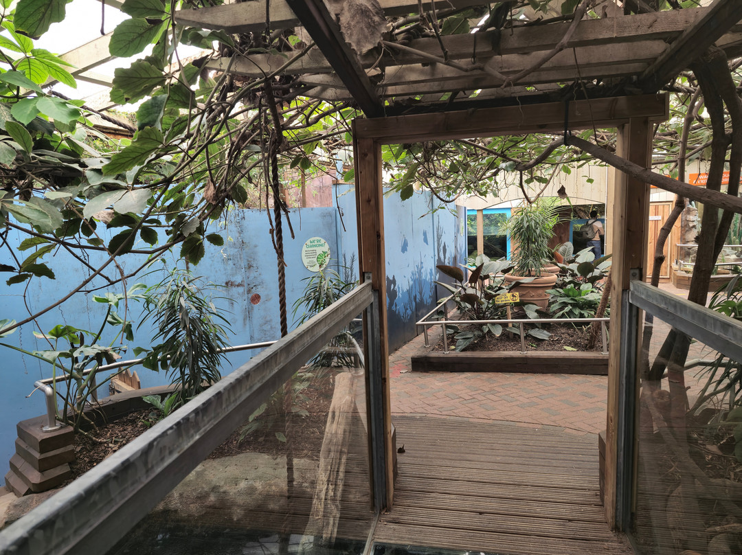 Colchester Zoo-科尔切斯特必去景点