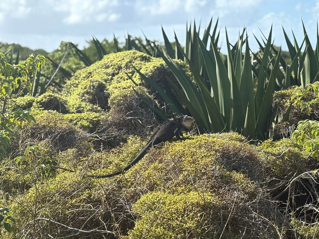 Hostellerie des Chateaux主图