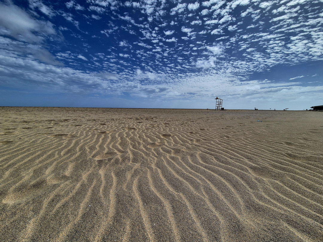 Royal Horizons Ponta Sino