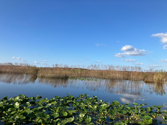 Black Hammock Adventures-Oviedo必去景点