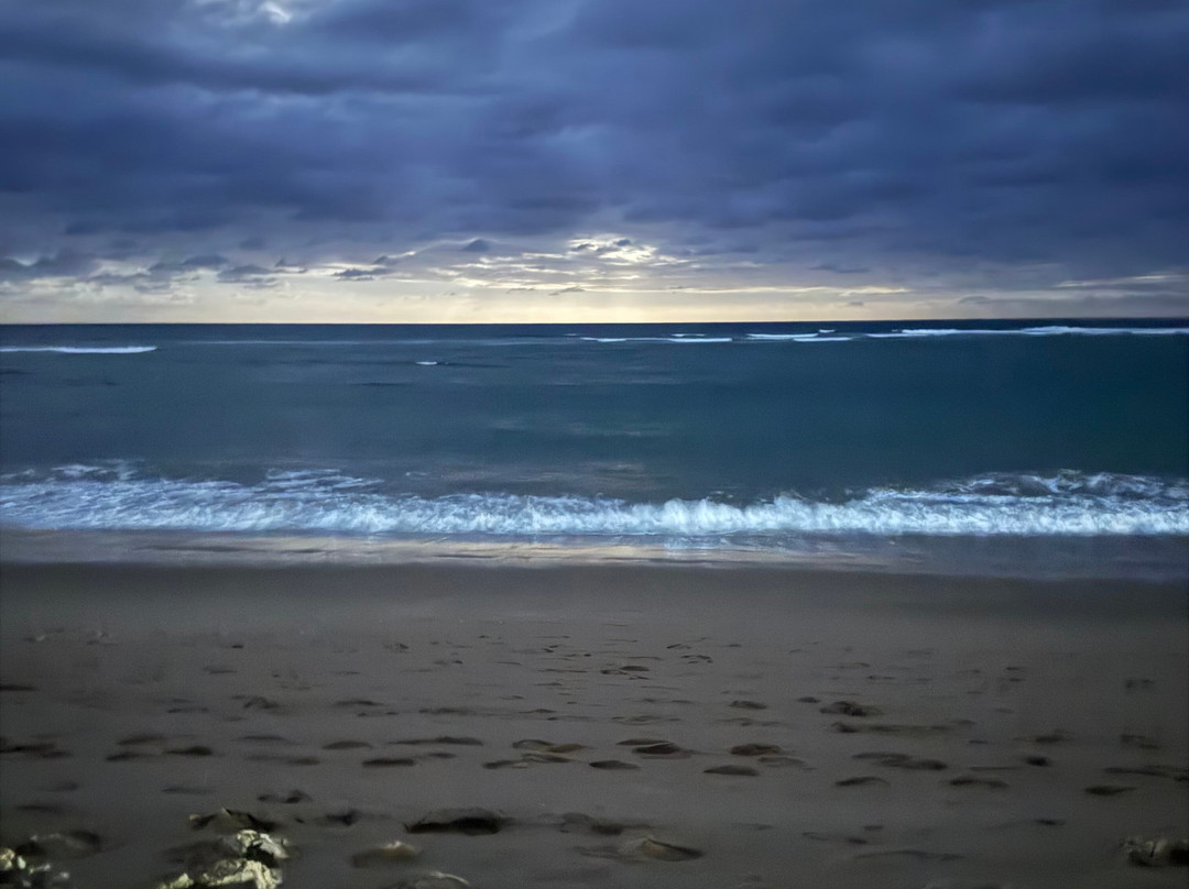 SAFARI, DRIVE & DIVE TOURS-Inhambane必去景点