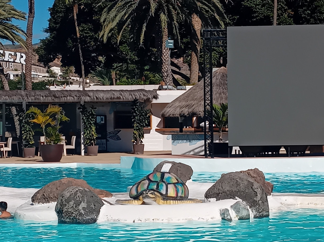 Chester Beach Club-莫干山必去景点