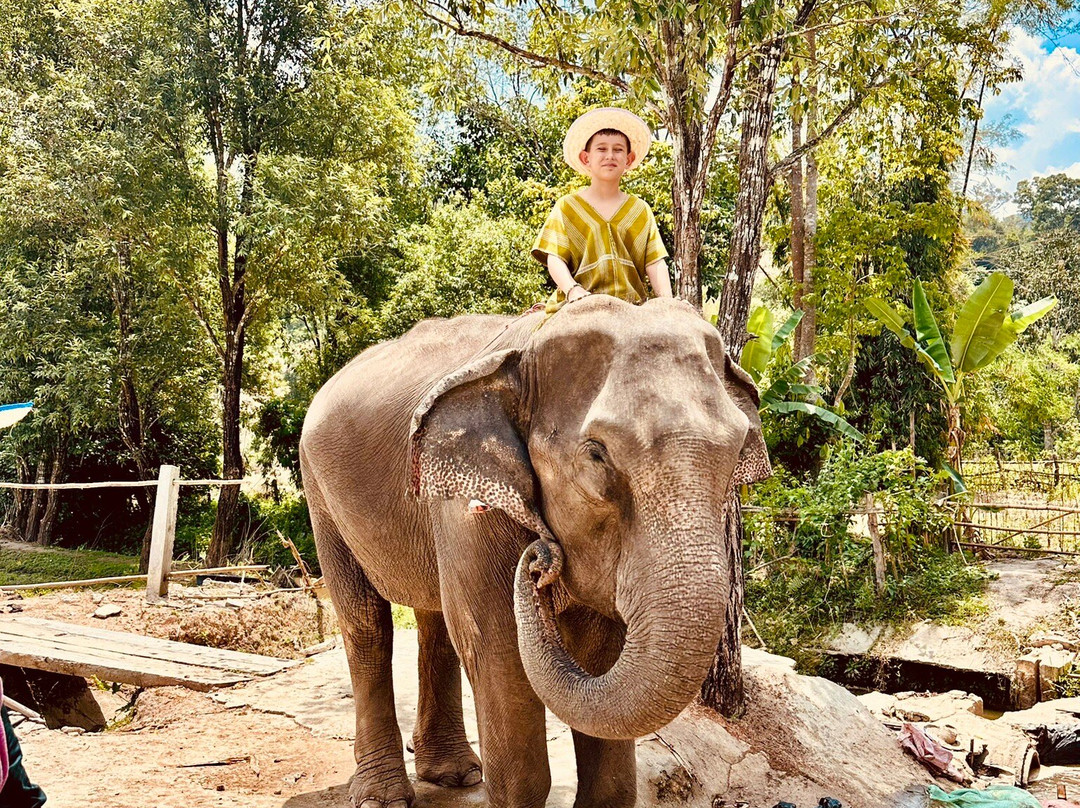 Karen Tribe Native Elephant-清迈必去景点