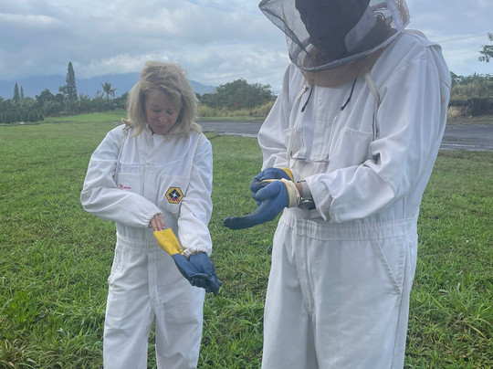 Mānoa Honey & Mead-瓦西瓦必去景点