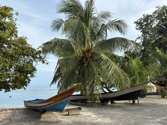 Situju Tuju Cruises-Labuan Bajo必去景点