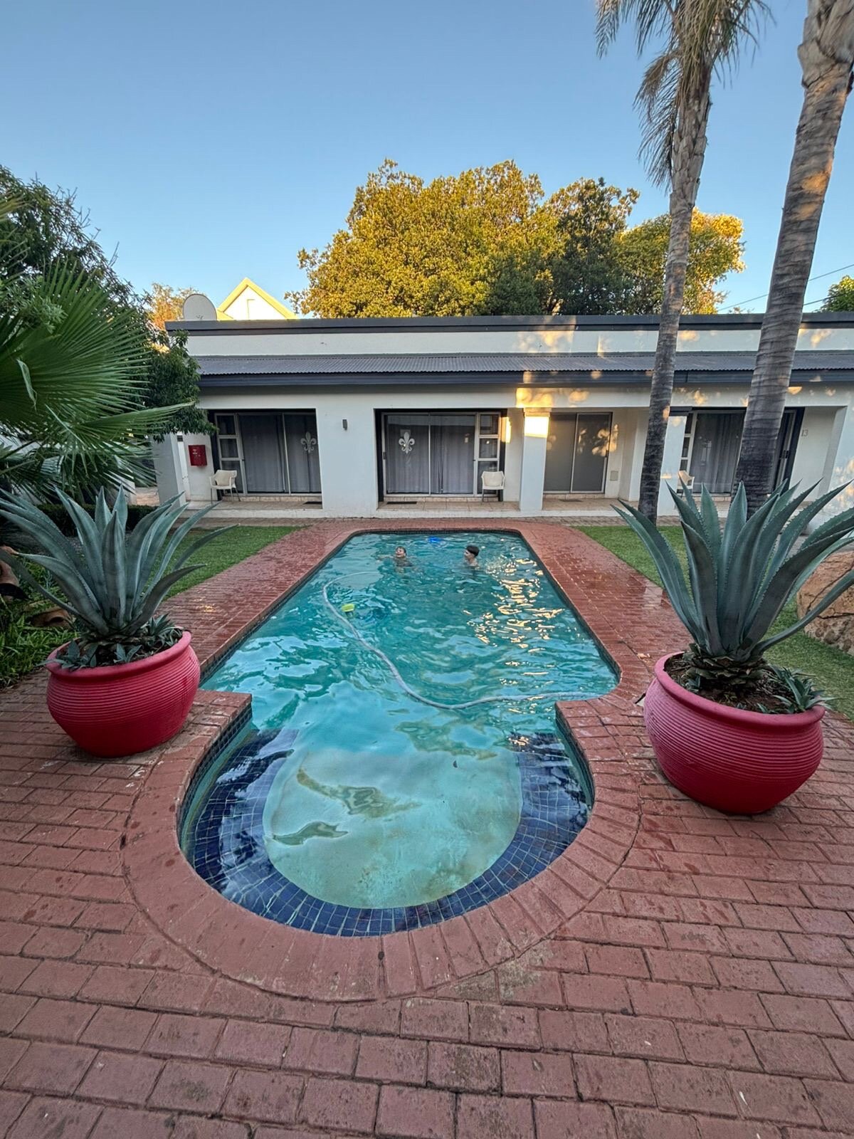 Terebinte B&B-官方