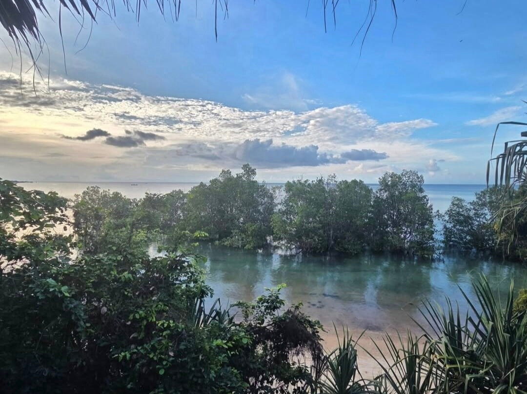 Kitu Kiblu: Responsible Marine Encounters-马菲亚岛必去景点