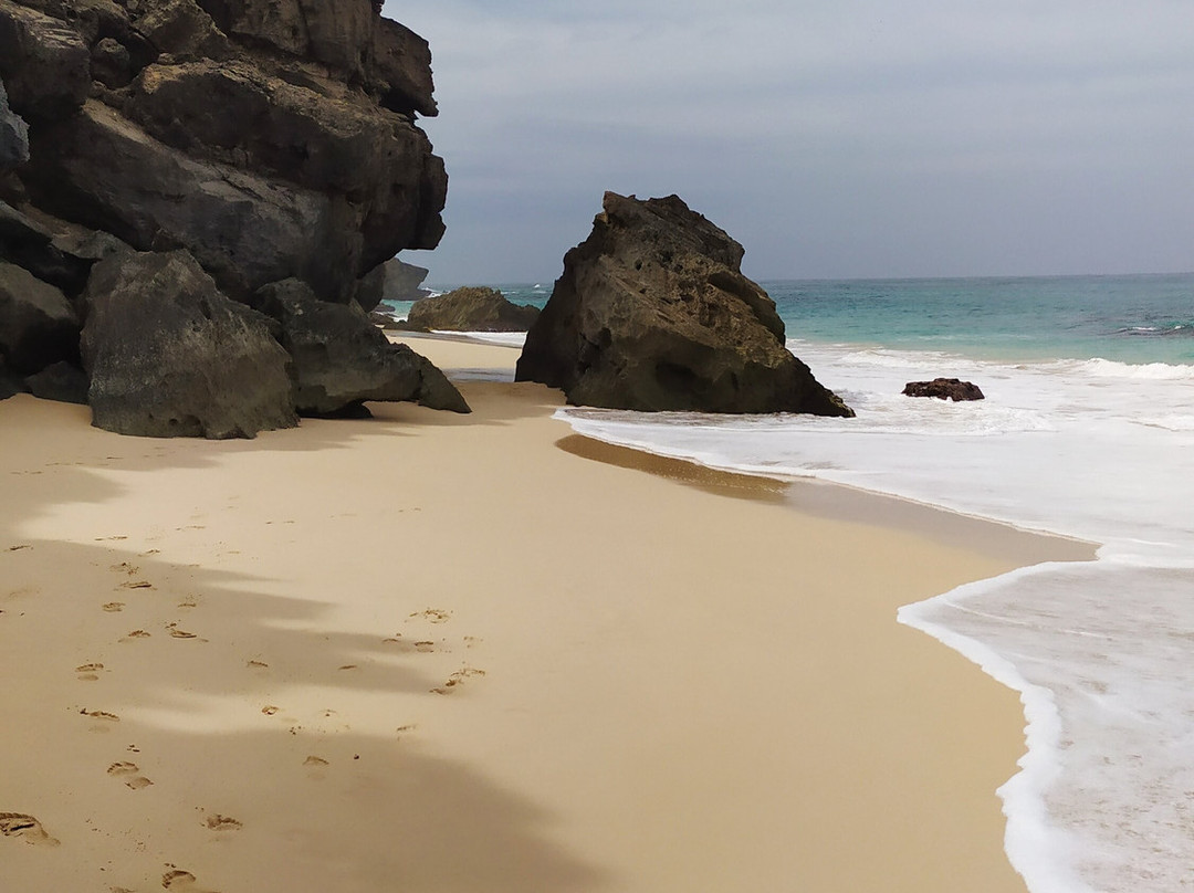 Momo Tour Boa Vista-圣莫尼卡必去景点