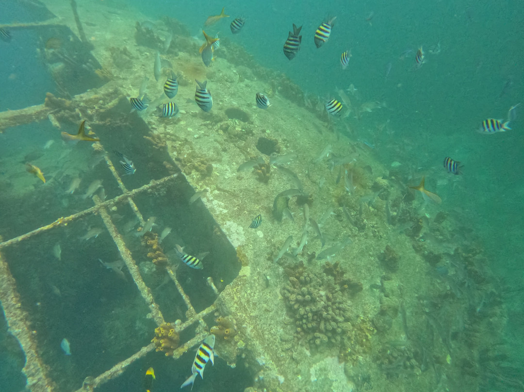 Red Sail Sports Aruba-奥腊涅斯塔德必去景点