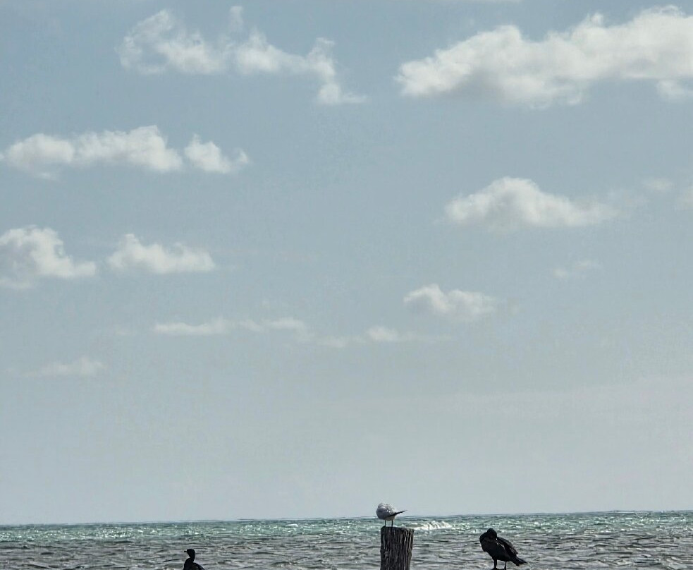 Hotel Cielo y Selva主图