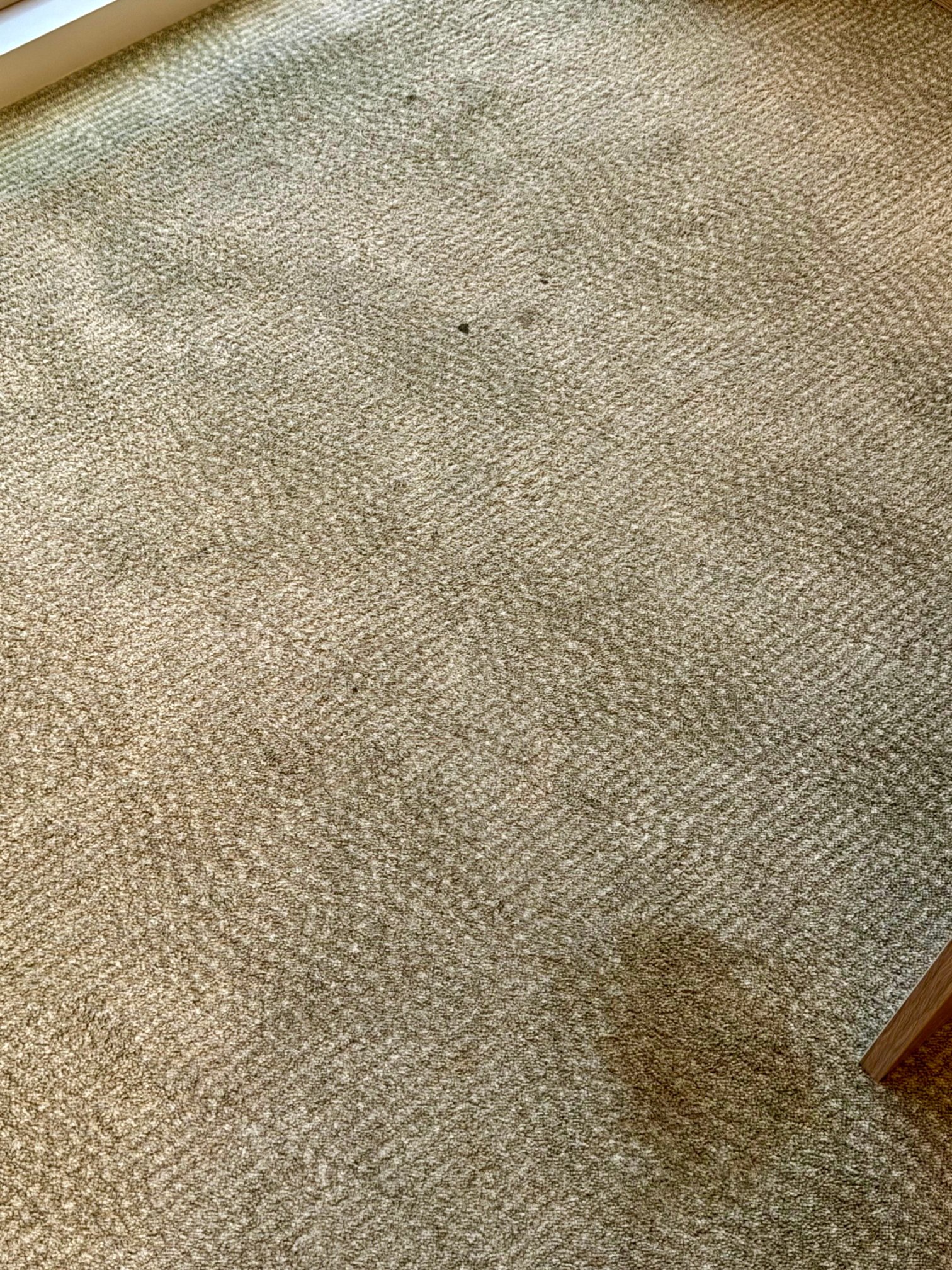 吉达塔利亚街诺富特酒店-官方