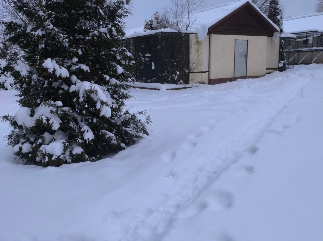 Bird Park Vorobyi-Vorobi必去景点