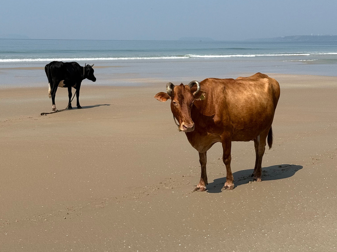 Utorda Beach-Utorda必去景点