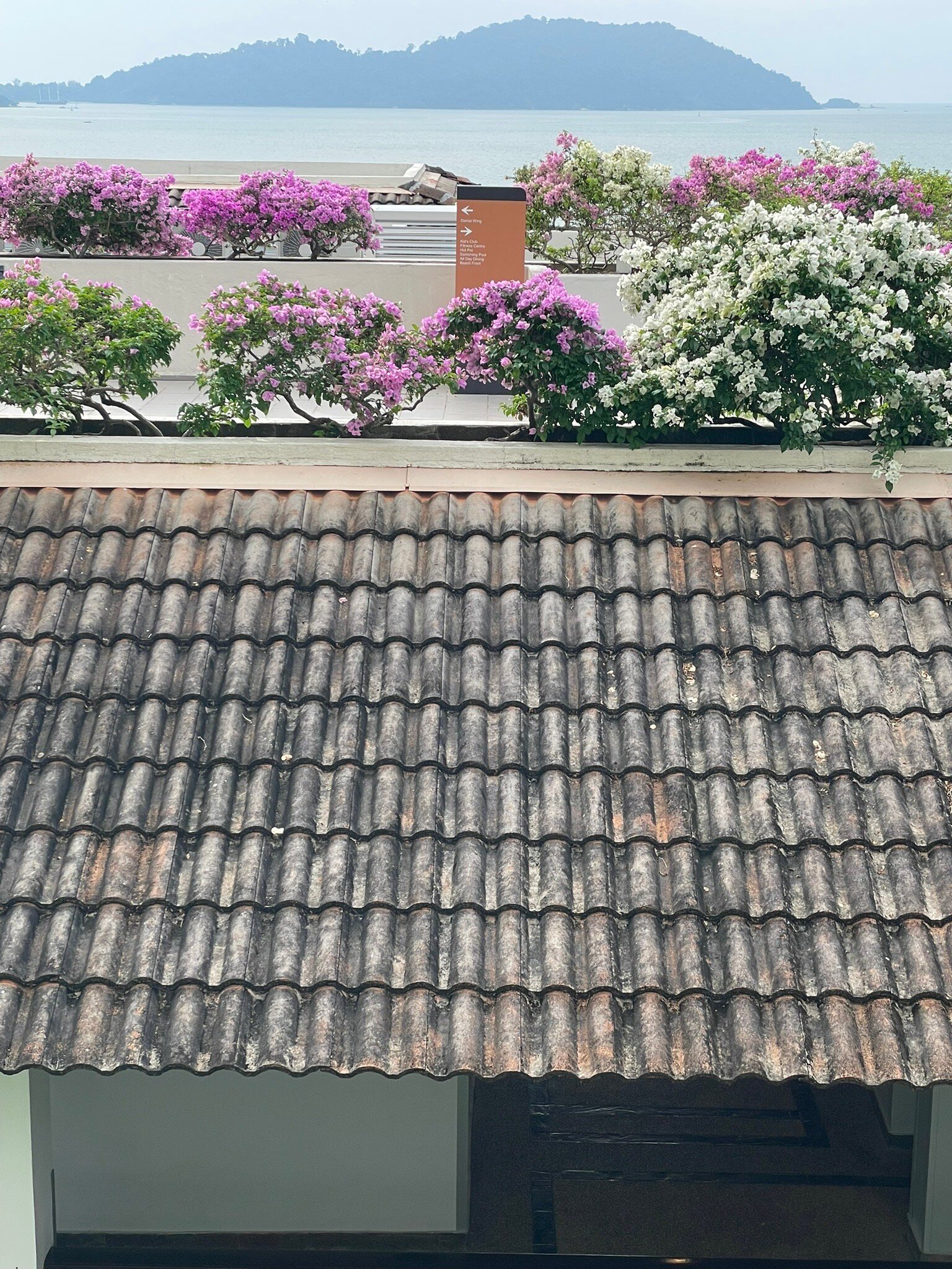 DoubleTree by Hilton Damai Laut Resort-官方