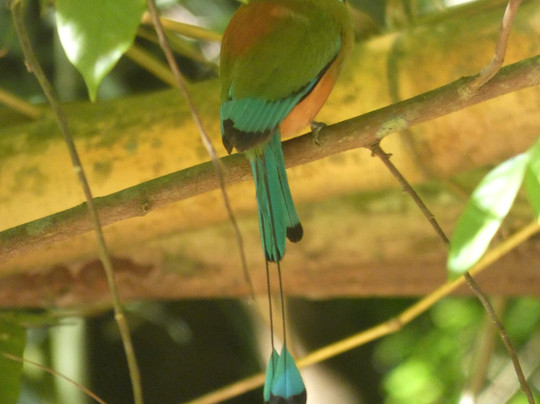 Tours and More CR-圣特雷莎必去景点