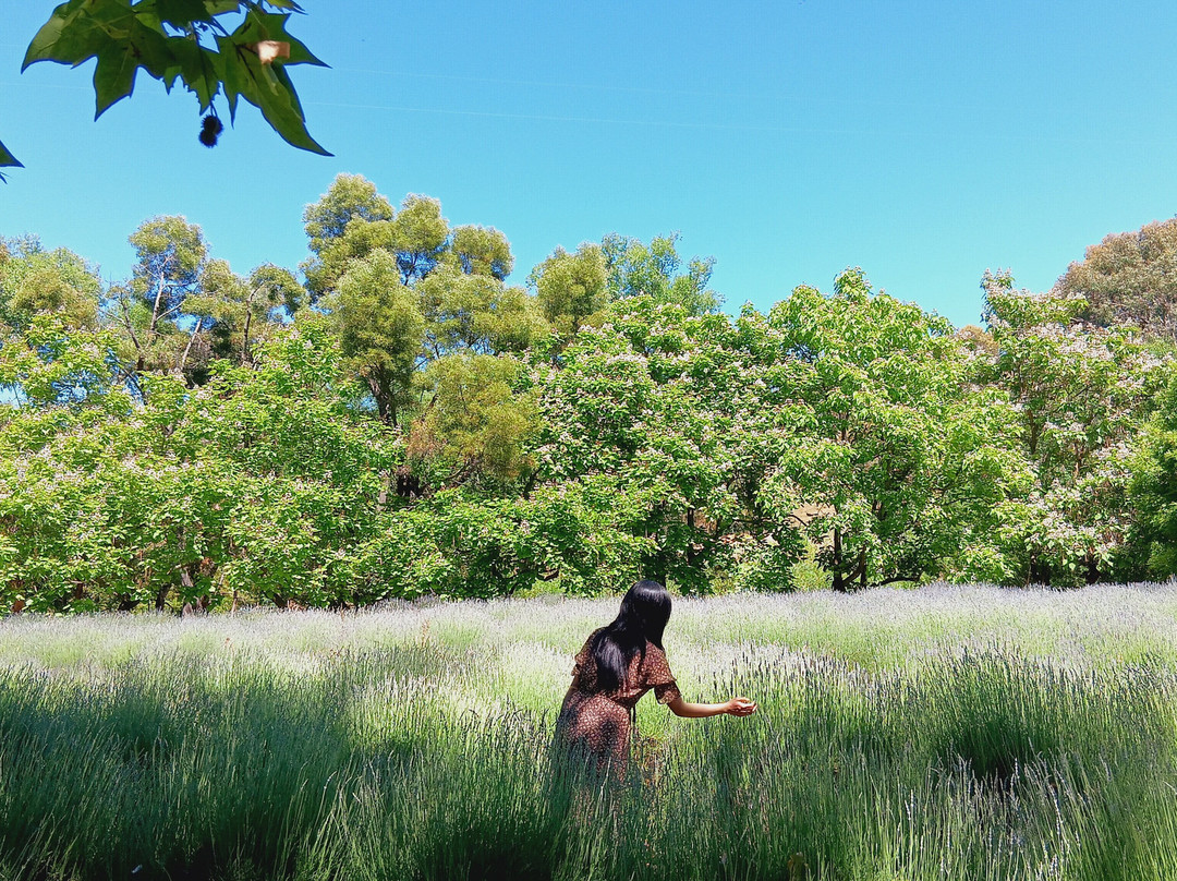 Around And About-威廉斯镇必去景点