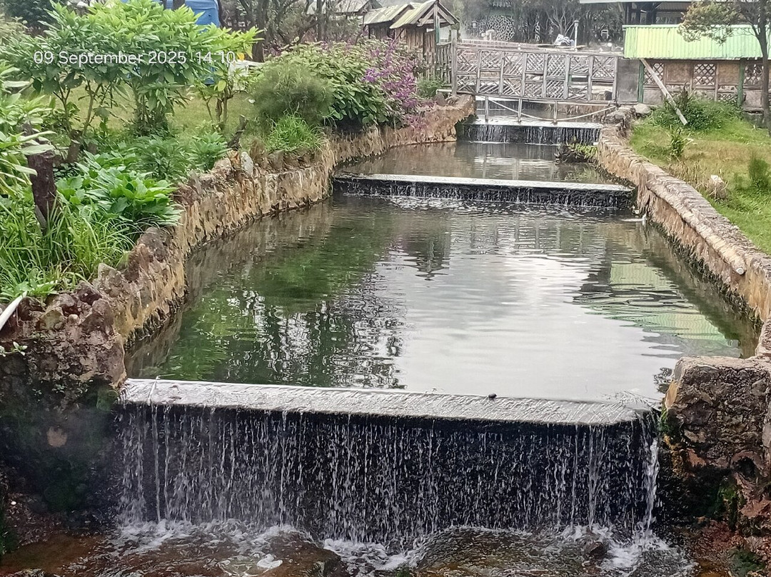 Mount Papandayan-牙律必去景点