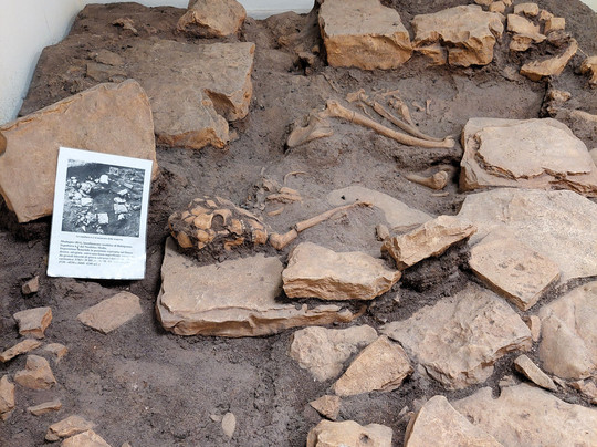 Palazzo Simi - Centro Operativo per l’Archeologia-巴里必去景点