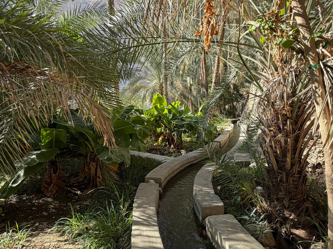 Wadi Tiwi Mibam Adventure-提维必去景点