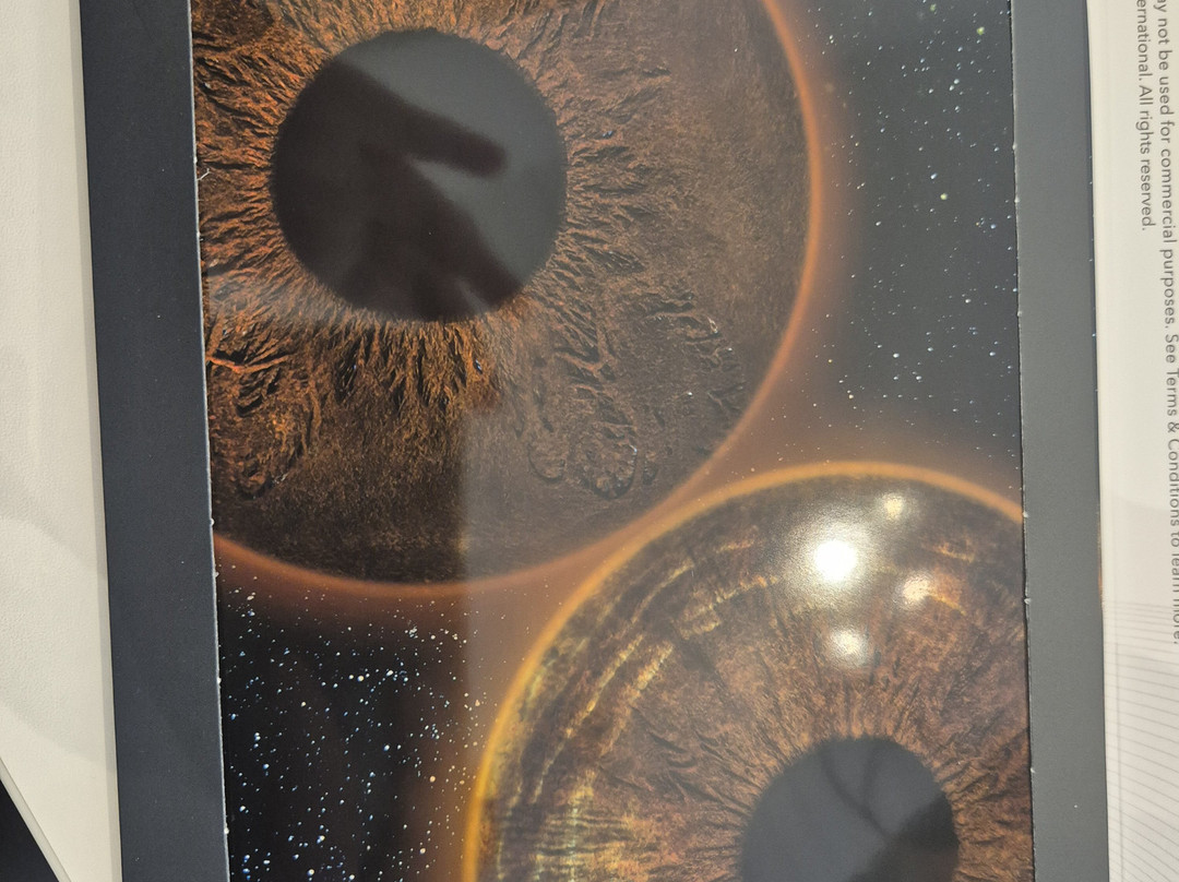 Eyemazy Amsterdam-阿姆斯特丹必去景点