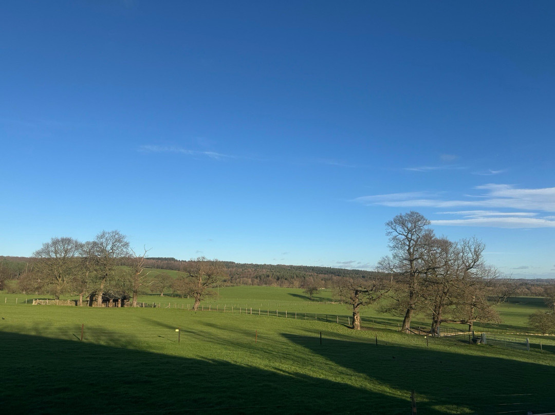Cannon Hall Farm-Cawthorne必去景点