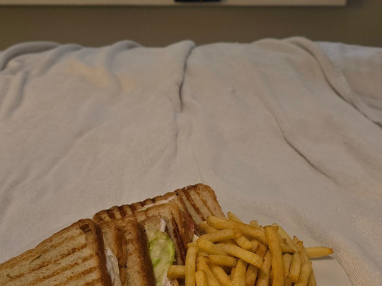 Fortune Inn Promenade主图