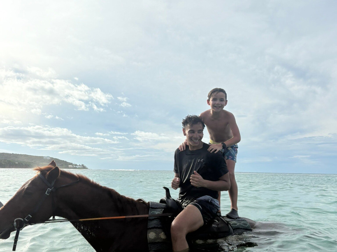 Equus Rides Horseback Riding St. Croix-Frederiksted必去景点