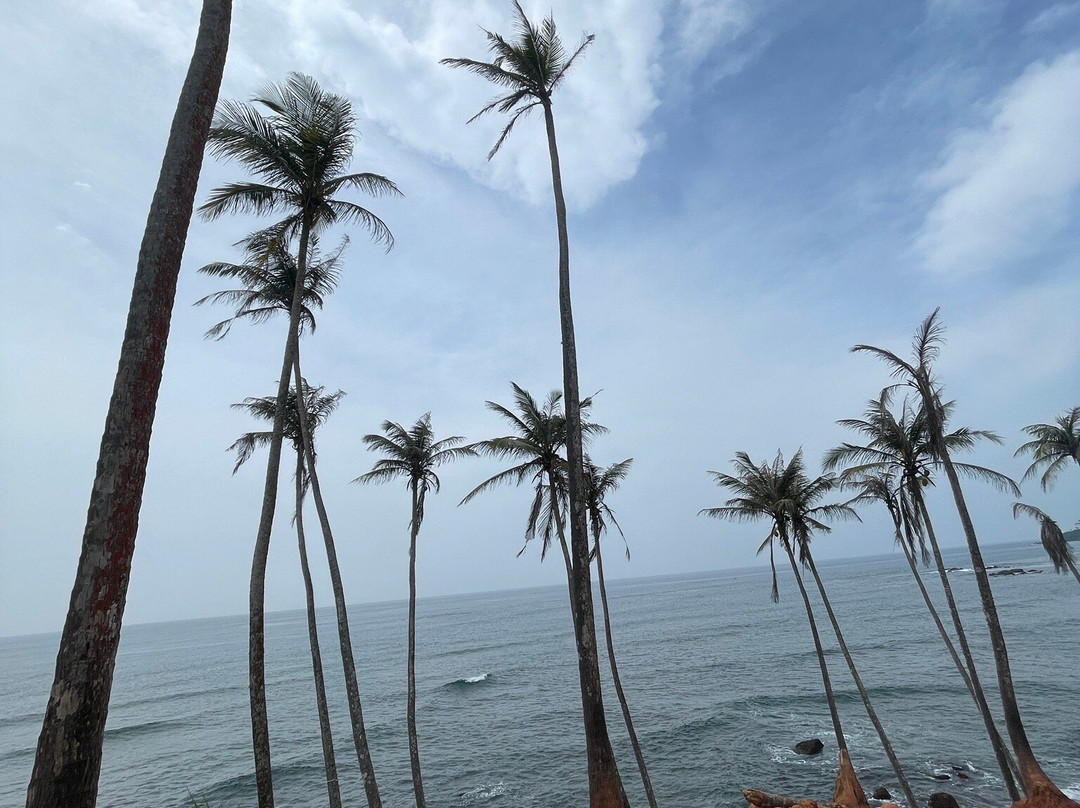 Riu Lanka Tours and Travels (PVT) LTD-亚洪加拉必去景点