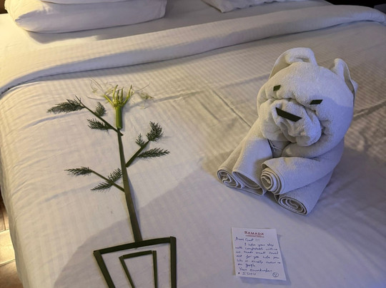 Ramada Plaza By Wyndham Chandigarh-Zirakpur主图