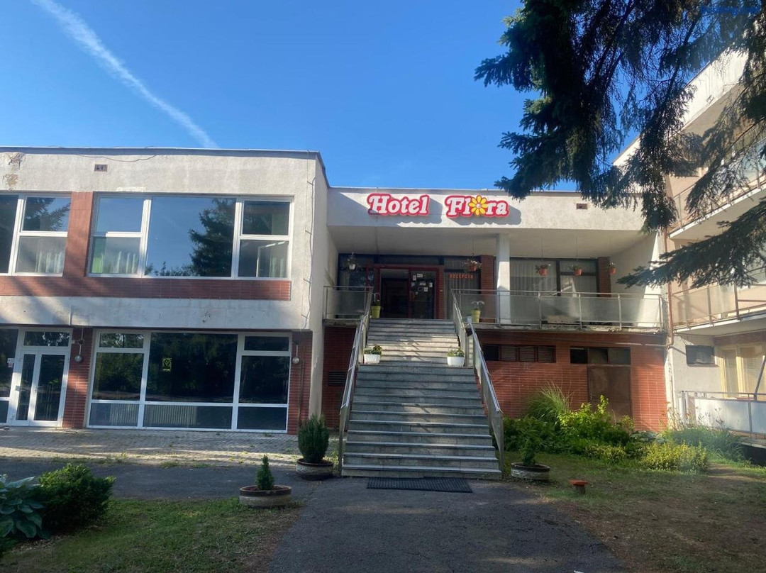 Zeliezovce酒店住宿-Hotel Flora