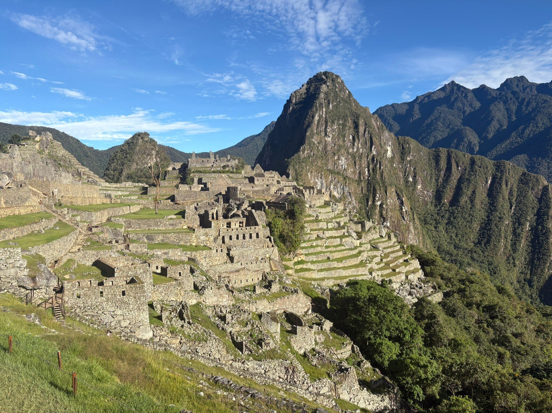 Alpaca Expeditions-库斯科必去景点