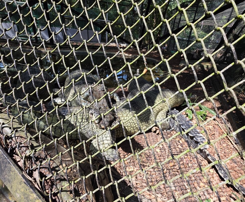 Thiruvananthapuram Zoo-提卢湾安塔普兰（特里凡德伦）必去景点