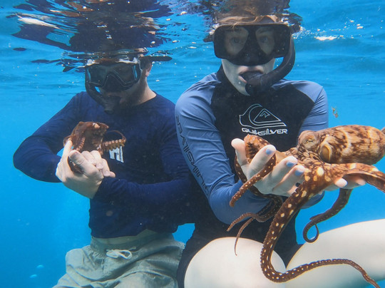 Hawai'i Surf and Kayak-普阿克必去景点