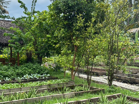 Dialoog Banyuwangi主图