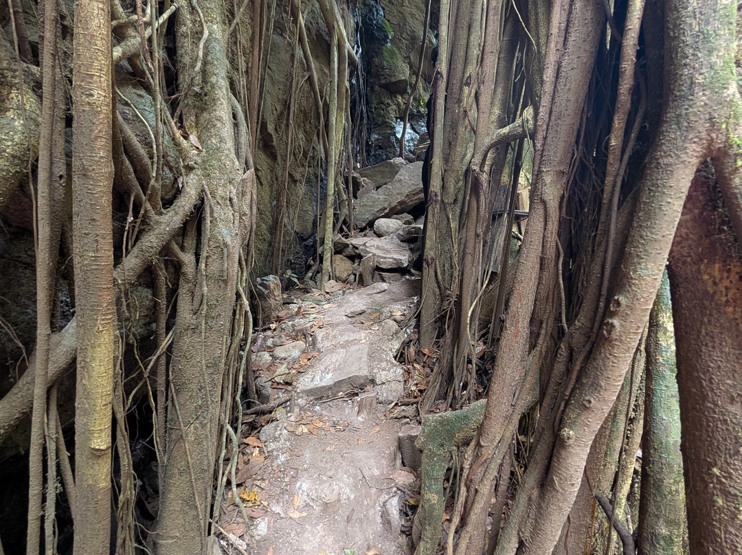 Catarata Del Toro-Bajos del Toro必去景点