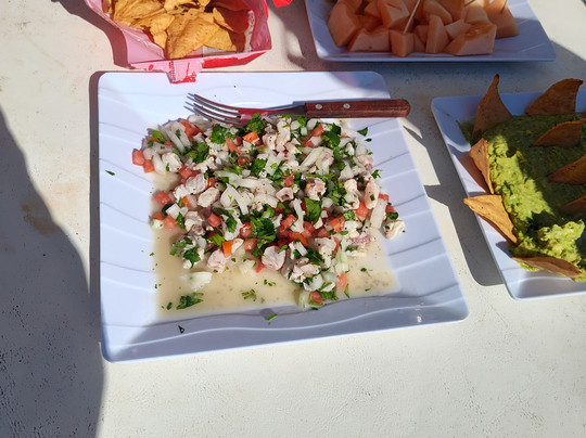 Fish Riviera Maya-阿范特拉斯港必去景点