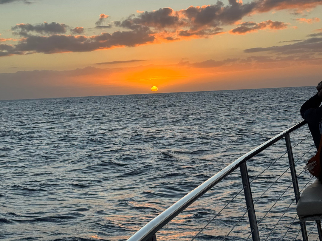 Moana Sailing Charters-火奴鲁鲁必去景点