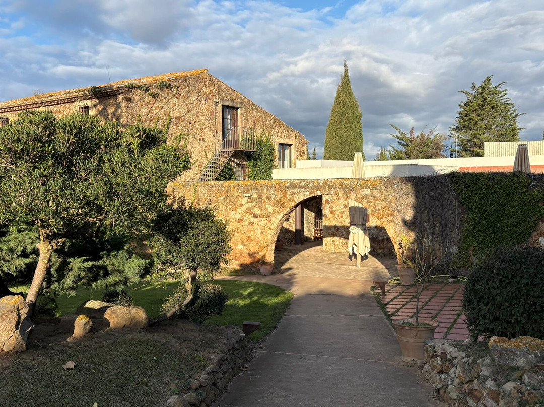 Avalon Holistic Ayahuasca Retreats-巴塞罗那必去景点