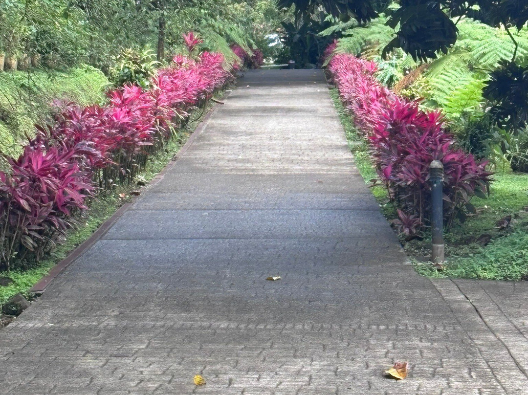 Domaine d'Emeraude-Le Morne-Rouge必去景点