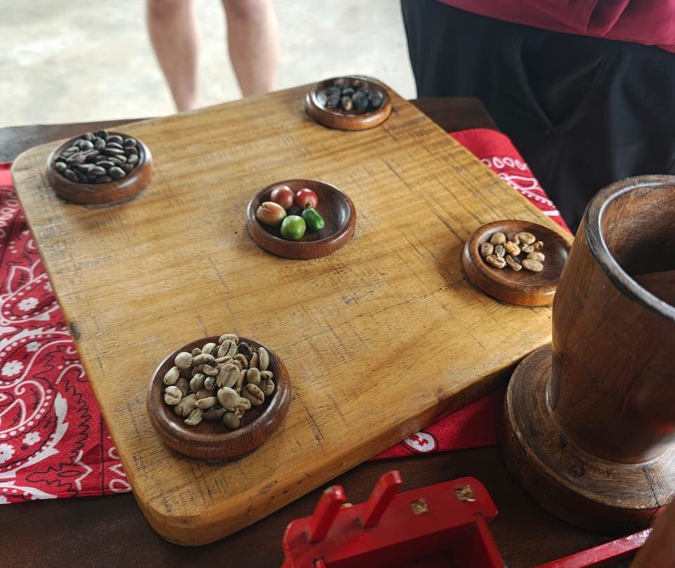 Matt's Fishing & Tours-萨迪纳尔必去景点