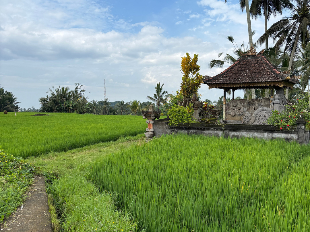 Authentic Walking Tours-乌布必去景点