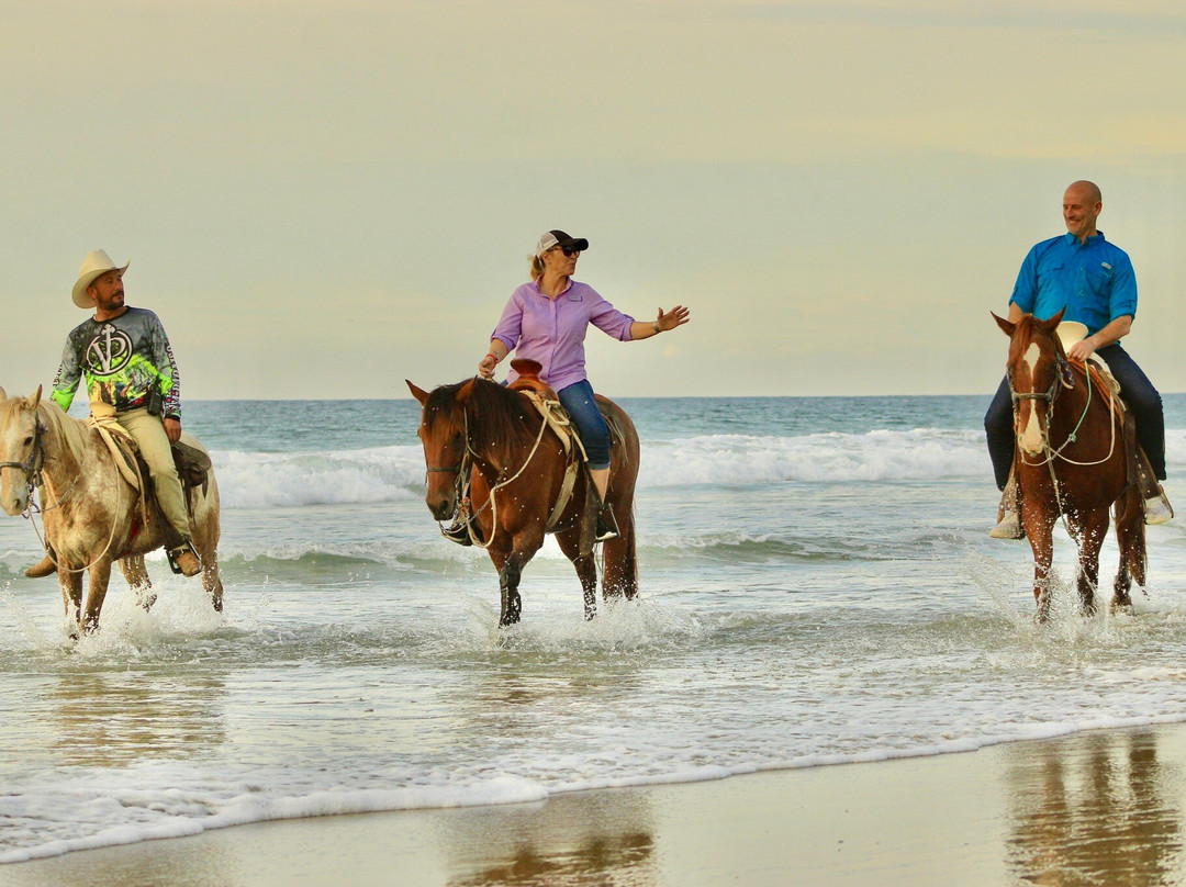 Vista Paraiso - Day Tours and Activities-Higuera Blanca必去景点