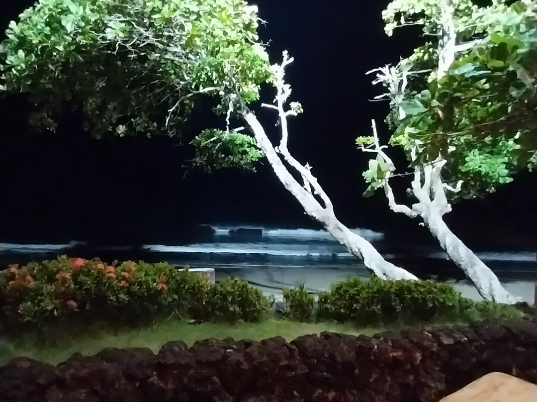 Terraza Del Pacifico主图