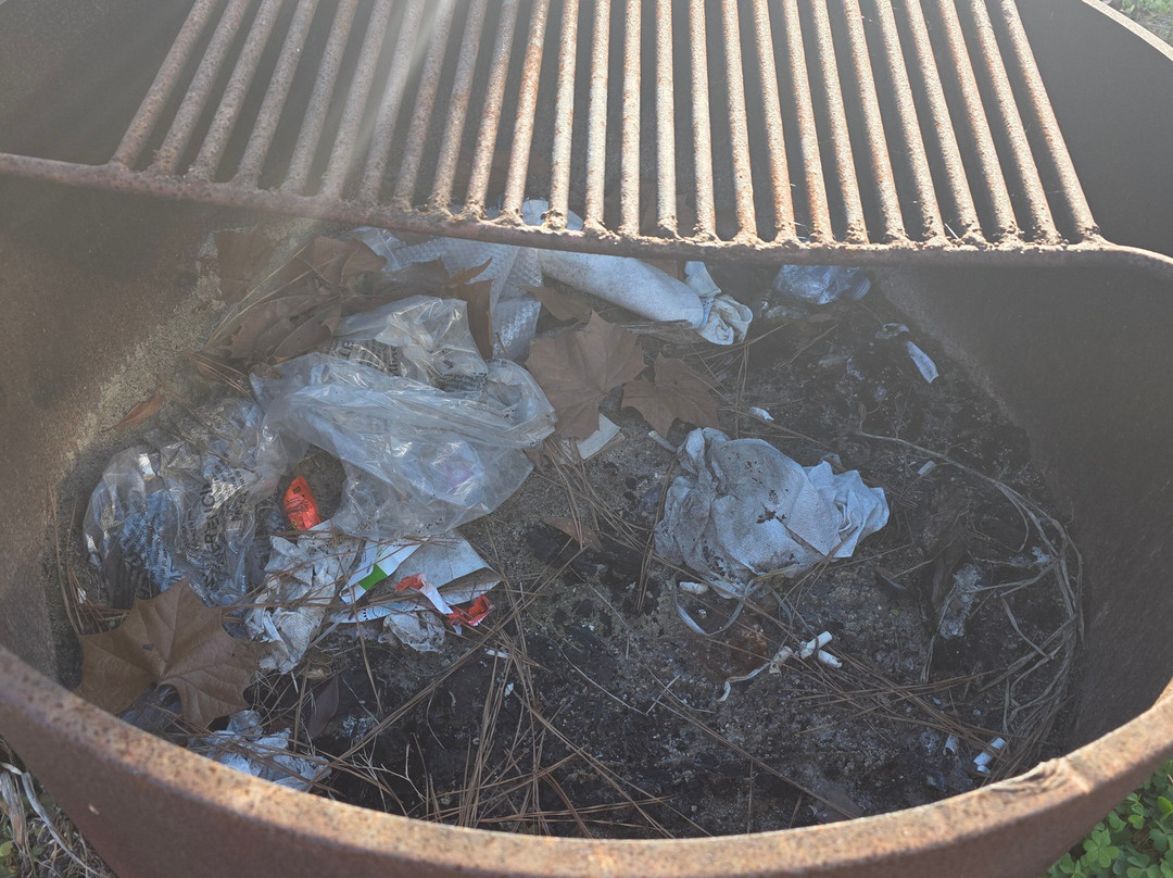 Vortex Springs-Ponce de Leon必去景点