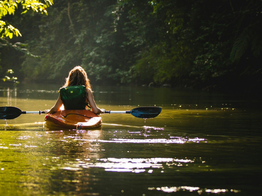 Parque Nacional Yasuni-Coca必去景点
