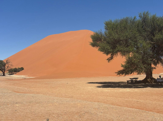 Namib Desert-苏丝斯黎必去景点