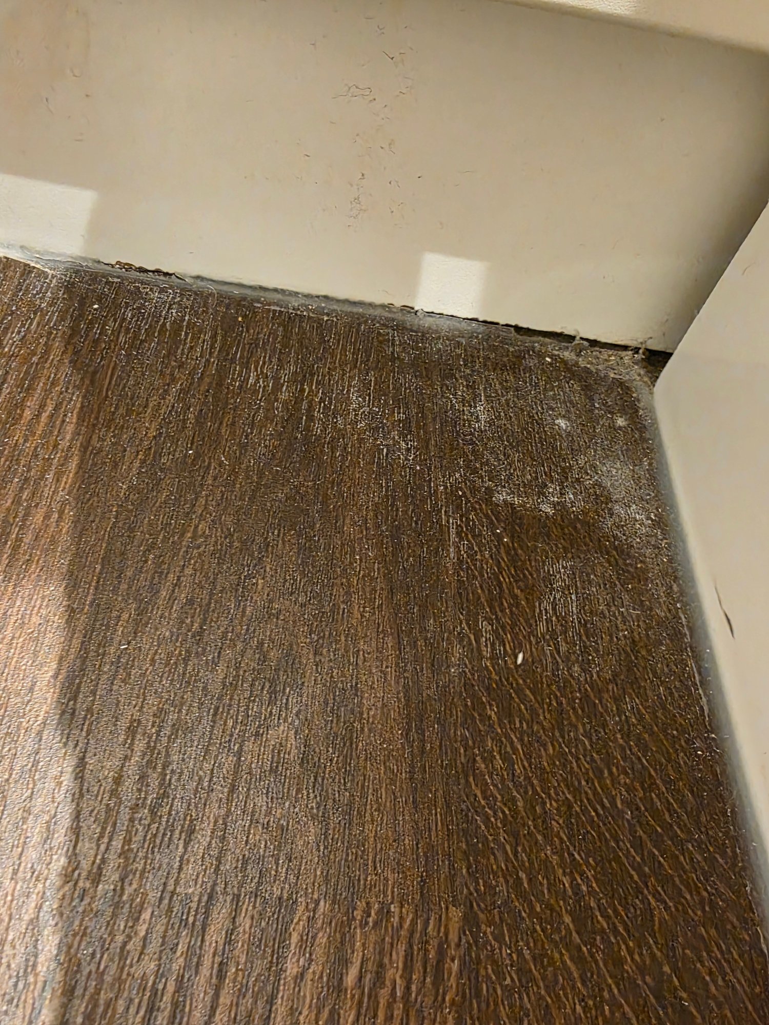 Premier Inn Thurso Hotel-官方