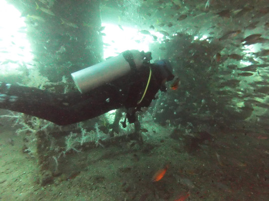 Blue Flow Diving-马斯喀特必去景点