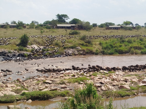 AFRICAN DIURNAL SAFARIS & TOURS-姆万扎必去景点